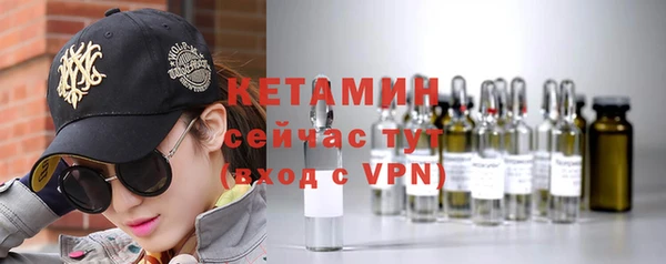 стаф Аркадак