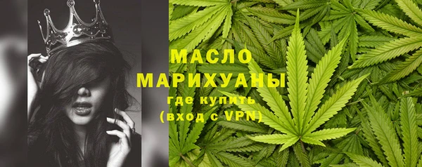 стаф Аркадак